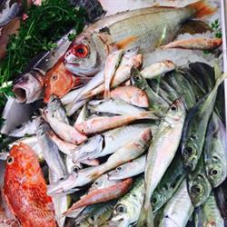 Pescheria San Vito