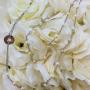 Collana perle e argento