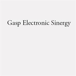 Gasp Elettronics Sinergy