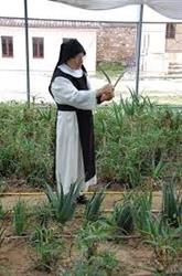 Monastero S. Caterina