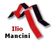 Mancini Ilio S.R.L. Societa'unipersonale A Responsabilita'limitata