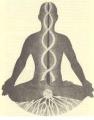 Seminario di approfondimento dello Hatha Yoga