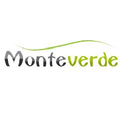 Impresa di Pulizie Monteverde