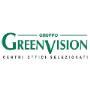 Green Vision