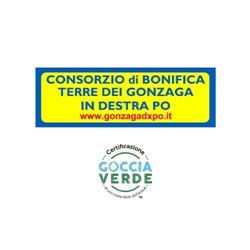 Consorzio Di Bonifica Terre Dei Gonzaga In Destra Po