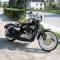 H-D 883 SPRINGER