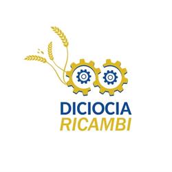 Diciocia Ricambi Sas