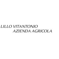 Lillo Vitantonio Azienda Agricola