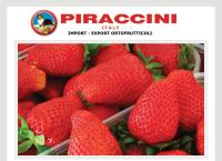 Piraccini Secondo SRL