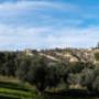 Gallery Professionale