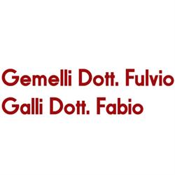 Studio Odontoiatrico Gemelli S.T.P. S.r.l.