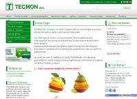 Tecmon SRL