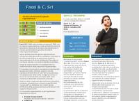 FASSI & C. SRL