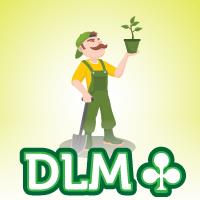 D.l.m. SRL