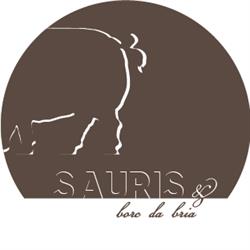 Sauris & Borc Da Bria