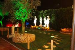 Nuova Trattoria Vignola SRL