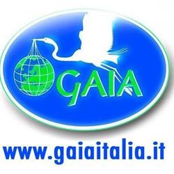 Gaia Animali E Ambiente Onlus