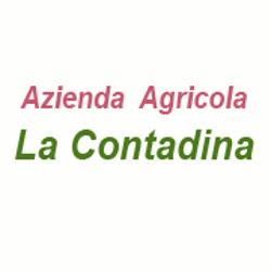 Azienda Agricola La Contadina
