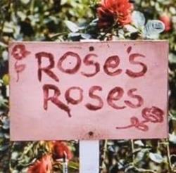 Rose's Roses SRL
