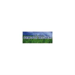 Piemonte Recuperi