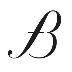 Francesco Brioschi Editore SRL