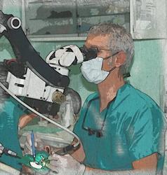 Barbini Enrico Maria