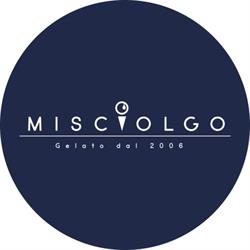 Misciolgo S.r.l.
