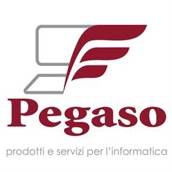 Pegaso SRL