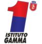 Istituto Gamma