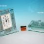 Nuova Collezione 2012