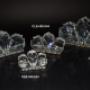 Nuova Collezione 2012