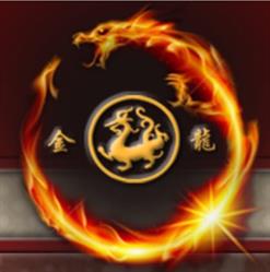 Il Drago D'Oro Import - Export Sas Di Zhang Li Min E C.