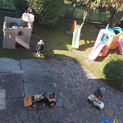 Il Grillo Parlante
