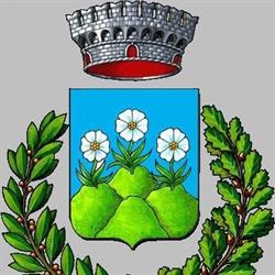 Comune Di Montefiorino