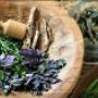 Erbe Officinali