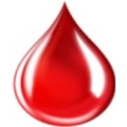 Project SRL