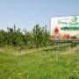 Conserve ed Estratti Alimentari Punto Verde
