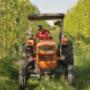 Azienda Agricola Punto Verde