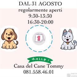 La Casa del Cane Tommy di D'aria Anna