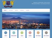 Sito di New Insurance Brokers SRL