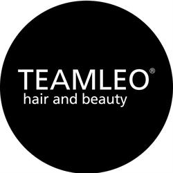 Team Leo Srl