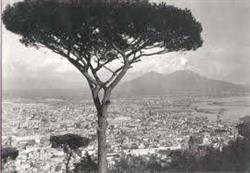 Prov.Ital. Immacolata Concezione Suore Teatine
