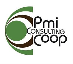 Pmi Consulting Coop. Soc. Coop. a R.L.