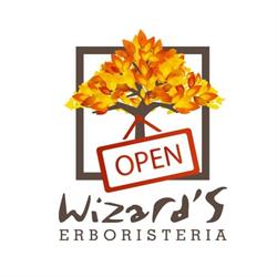 Erboristeria Wizard'S Di Moccia A.