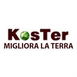 Koster