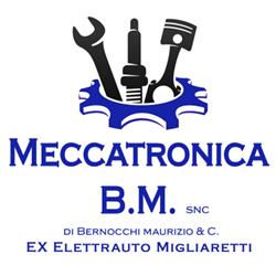 Meccatronica B.M. Snc - Ex Migliaretti