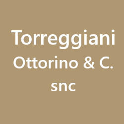 Torreggiani Ottorino & C. snc