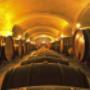 Cantina Oliena- Le Botti