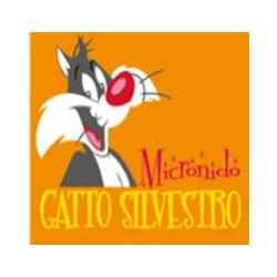 Asilo Nido Gatto Silvestro Associazione Pianeta Bimbo