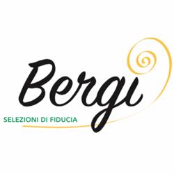 Bergi S.p.a.
